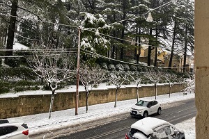 neve300