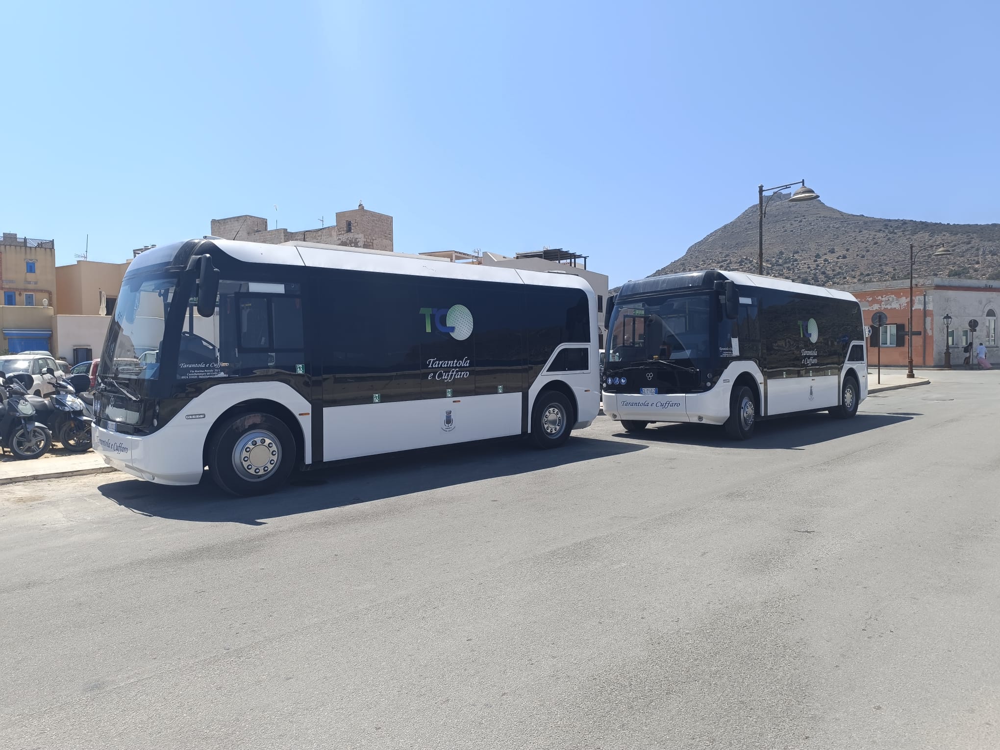 Bus elettrici 1