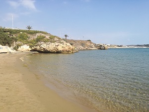 scoglitti