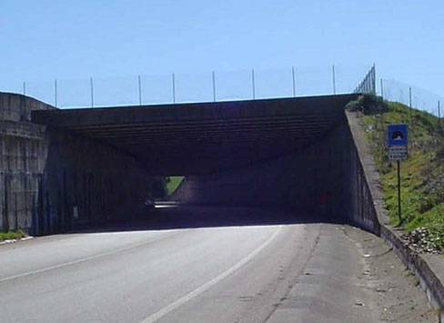 sp98