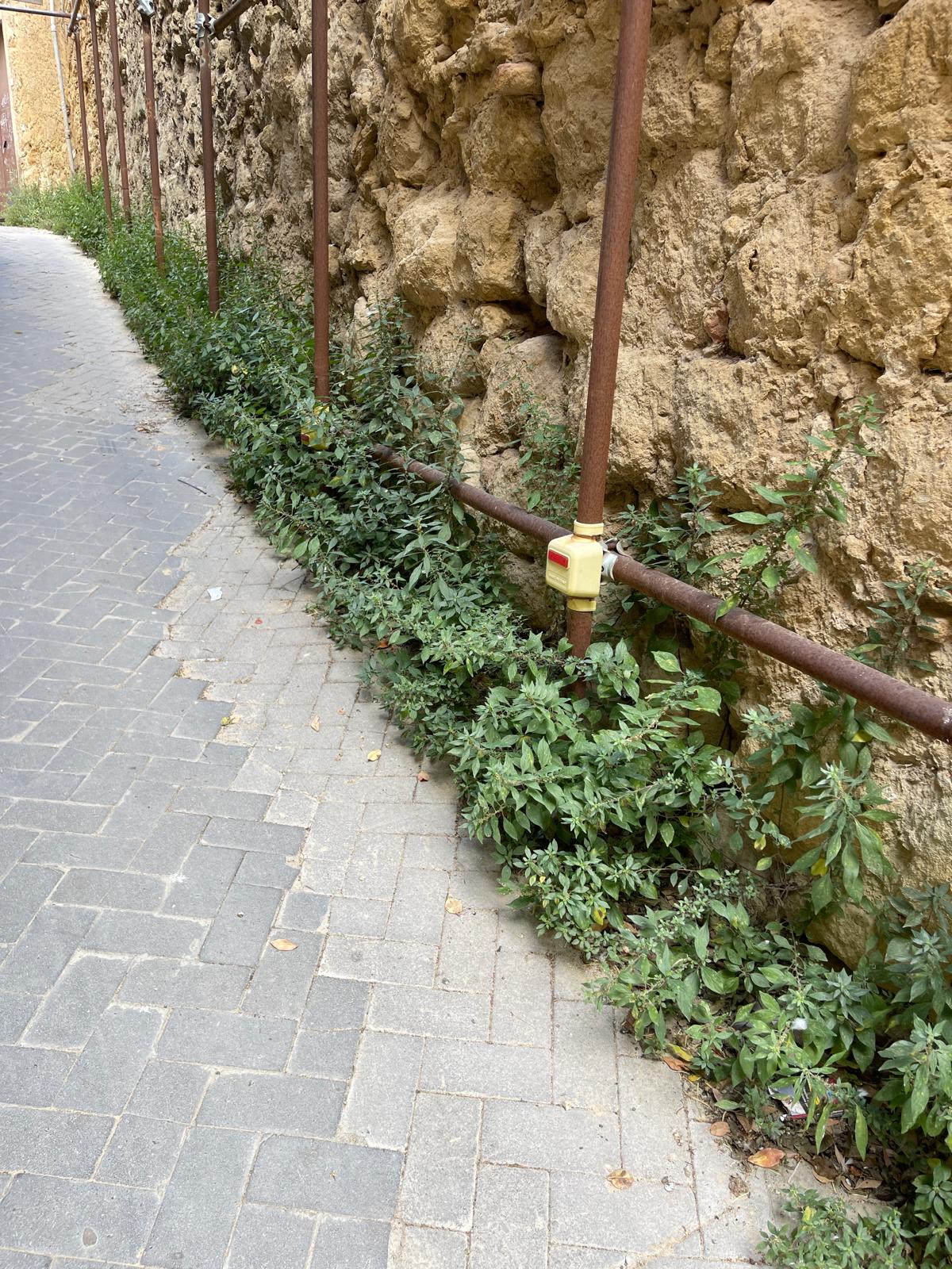 viacolaianni1