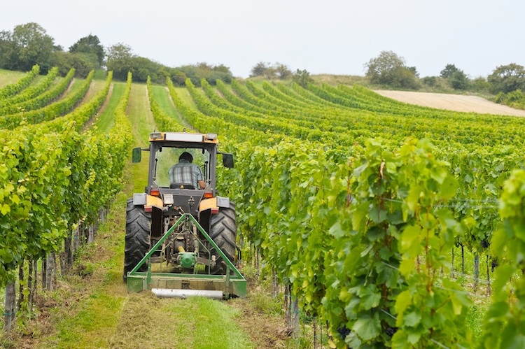 trattore trattori macchine agricole vigneto generico by ewald froch fotolia 750