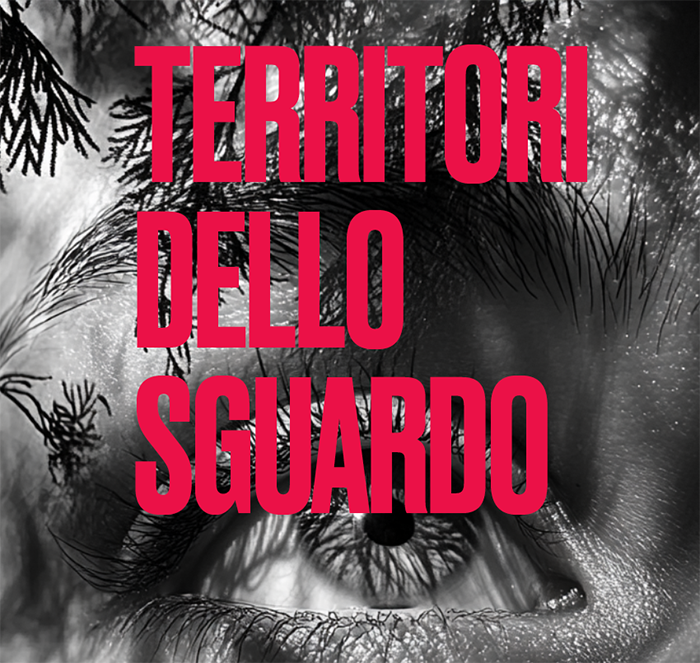 Grafica Serie di laboratori Territori dello sguardo
