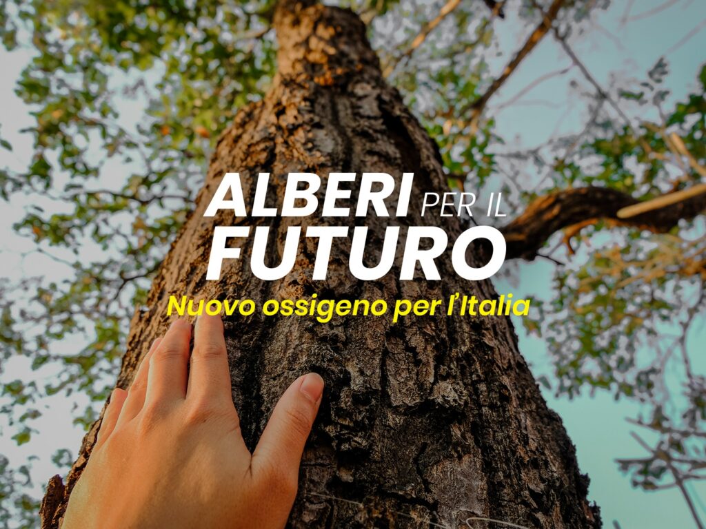 alberixilfuturo 1024x768