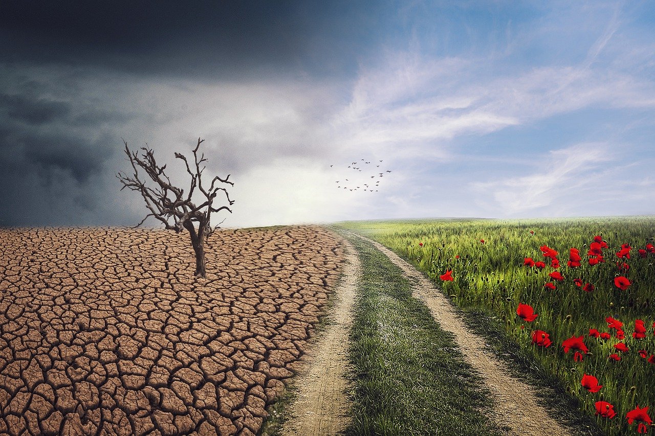 crisi climatica