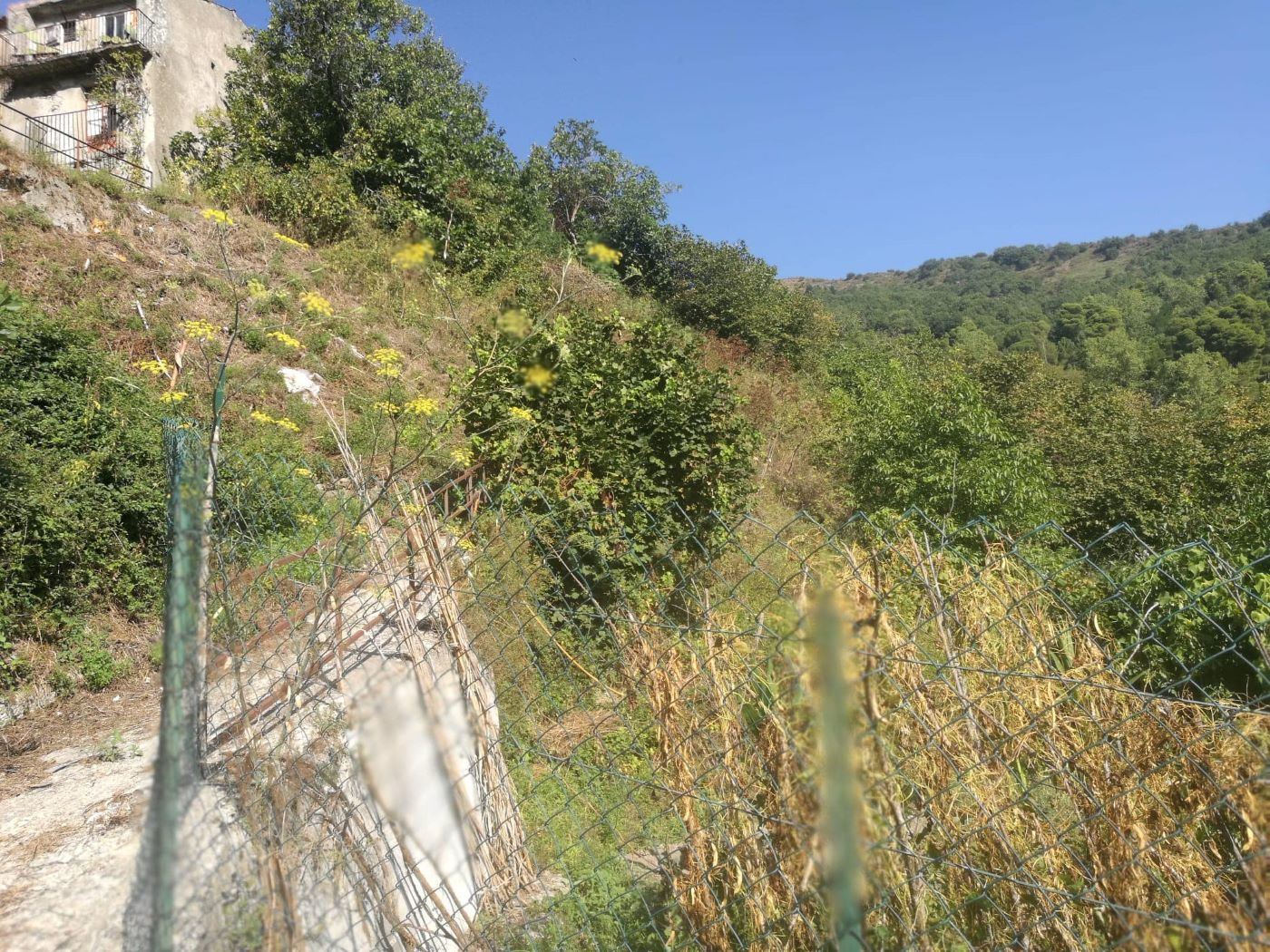 Fondachelli Fantina 1