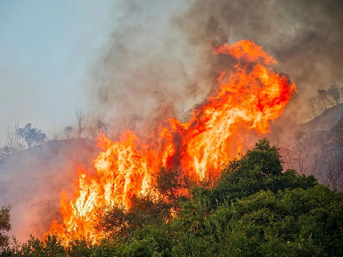 La Sicilia colpita dagli incendi