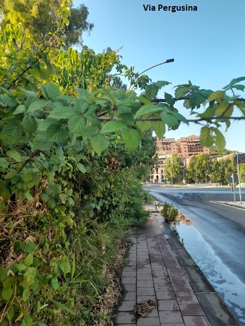 Via Pergusinajpg
