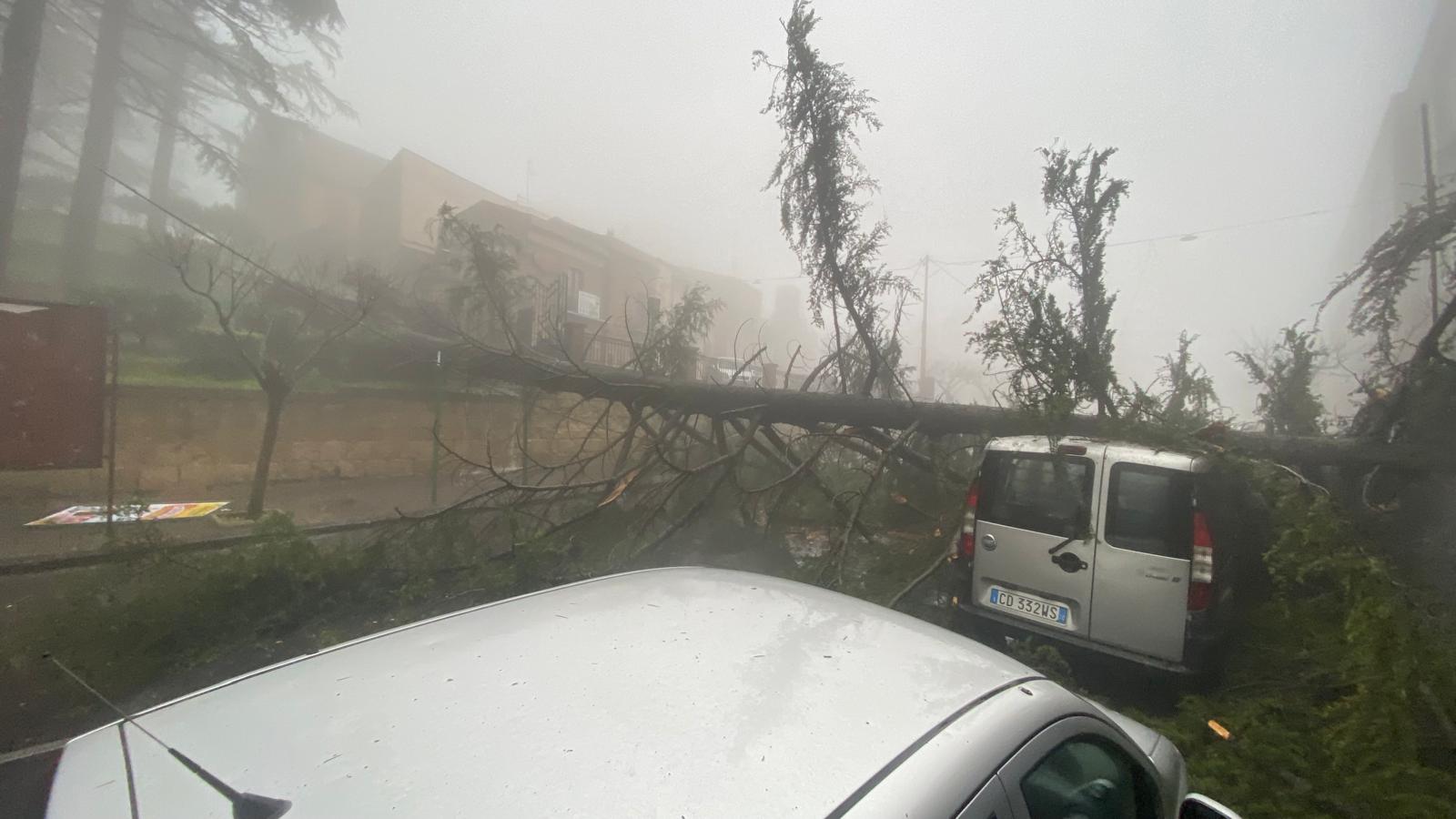 alvero caduto vial iv novembre