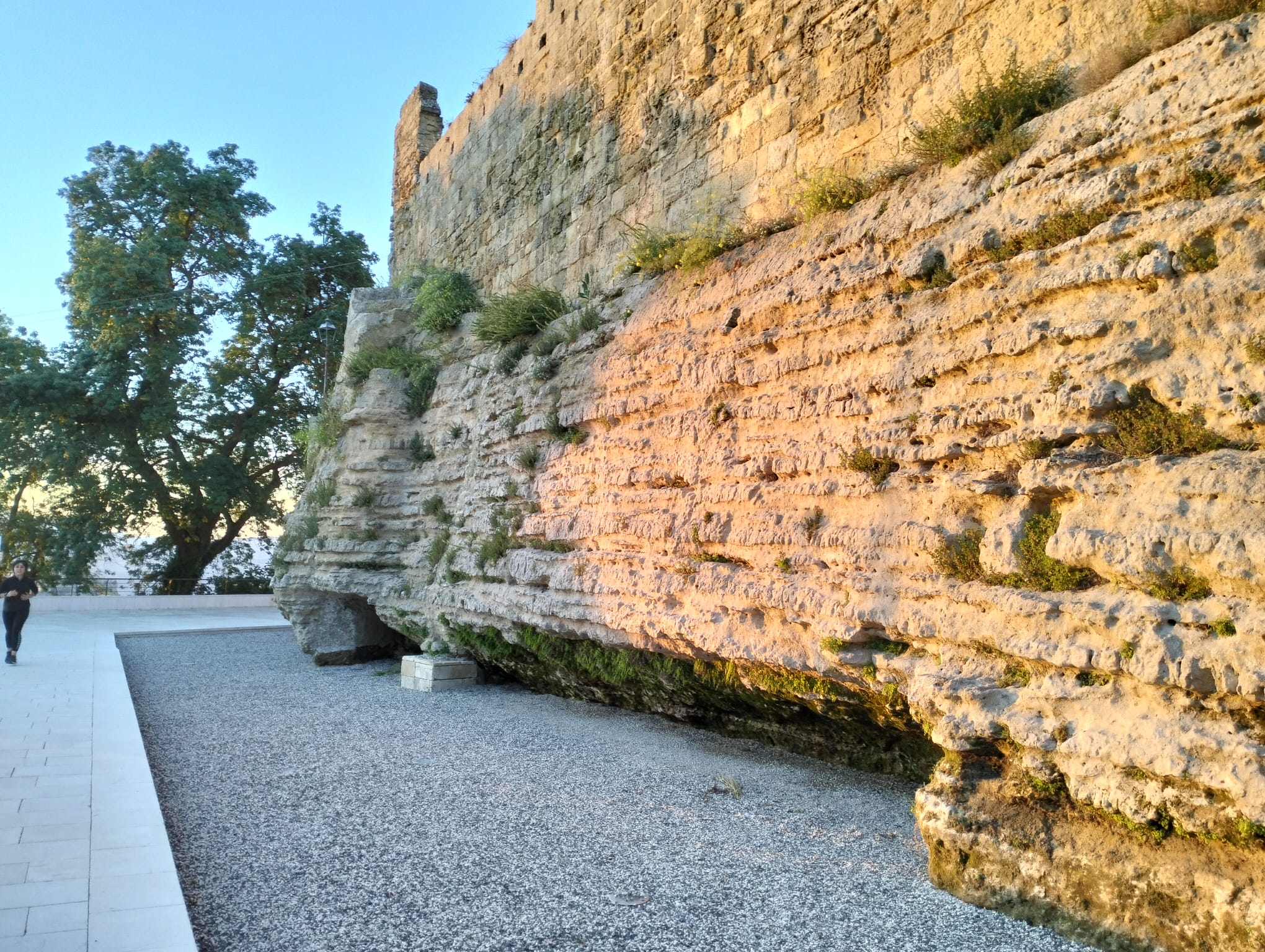 castello di lombaria pareti con erbacce