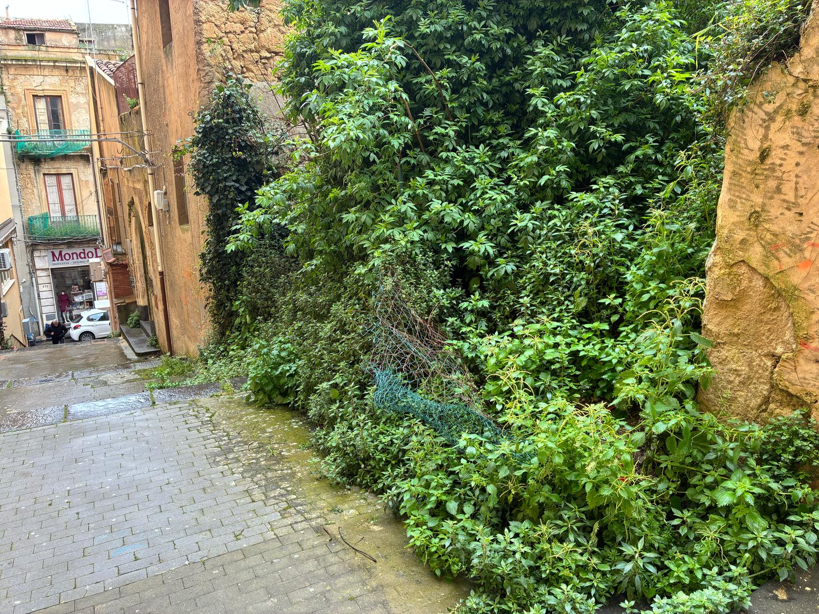 via merchese1