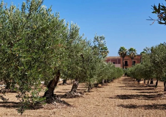 azienda agricola