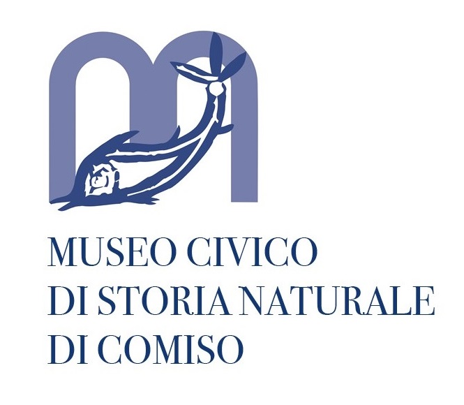 logo museo comiso
