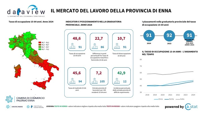 camera di commercio enna