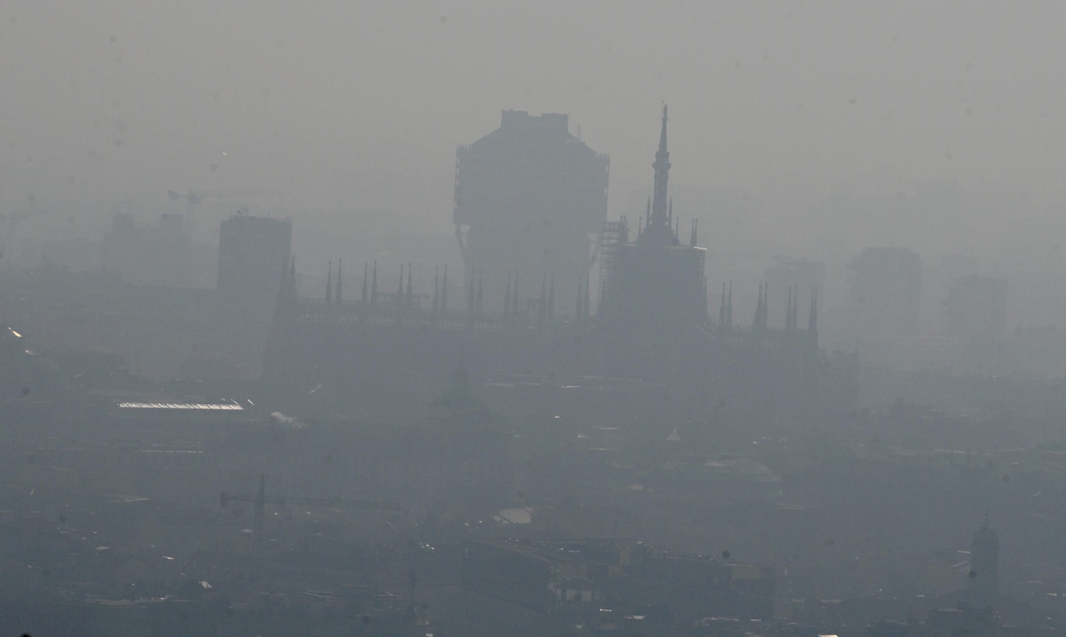 smog scaled