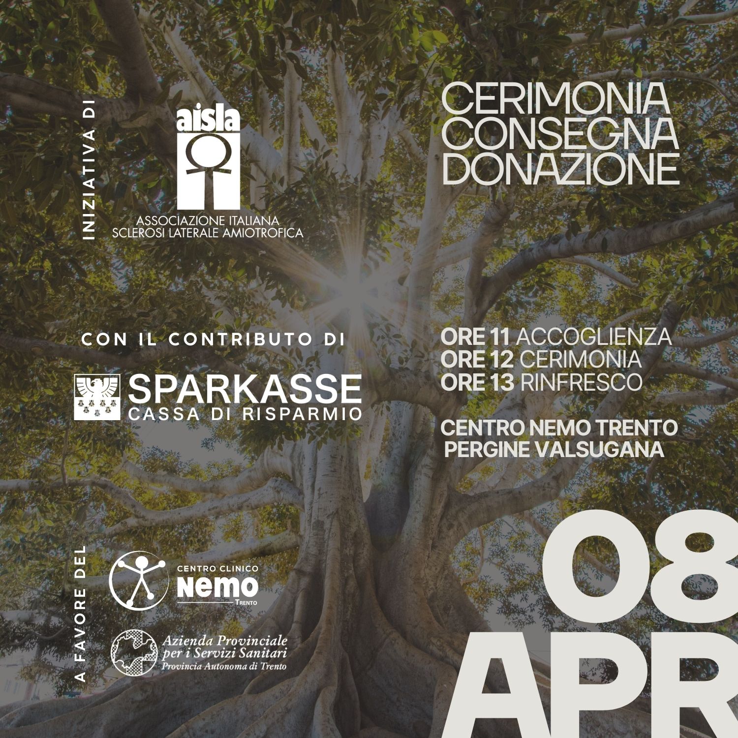 Invito TRENTO square