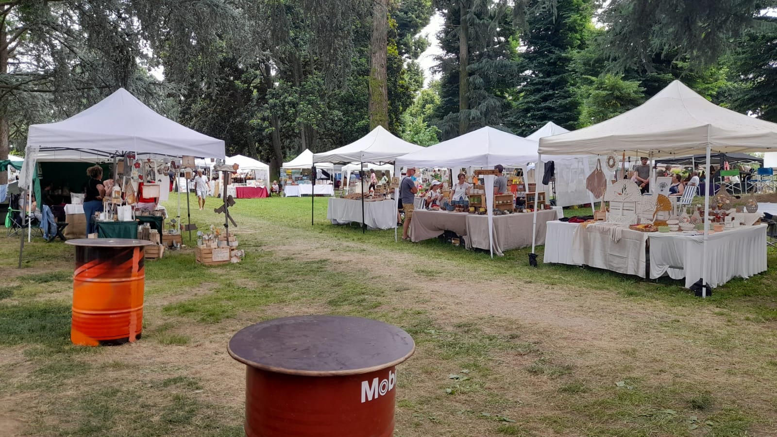 Magie della Natura 2025