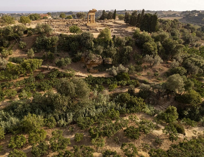 giardino valle dei templi