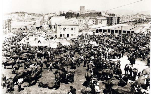 La fiera Montesalvo anni 50