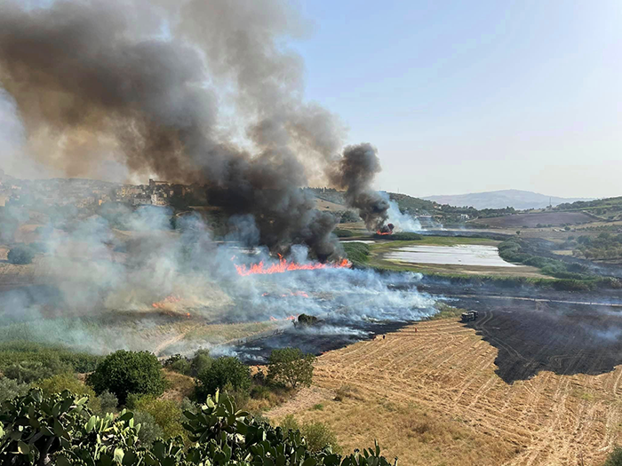 Fuoco nella Riserva naturale di Lago Soprano 2023