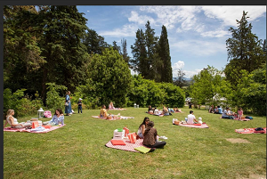 Picnic