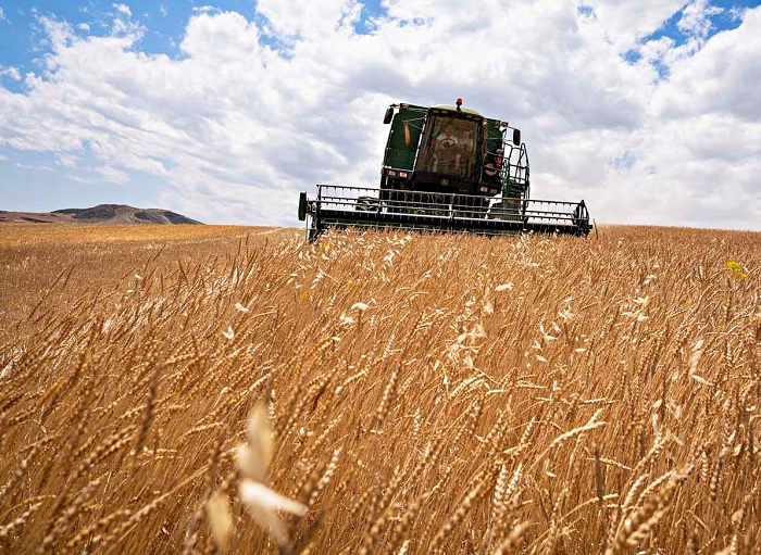 agricoltura