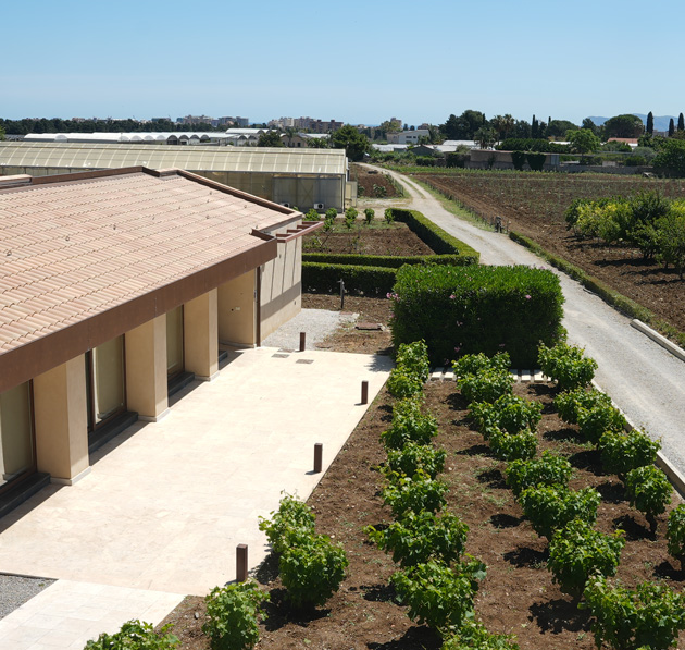 vivaio 1
