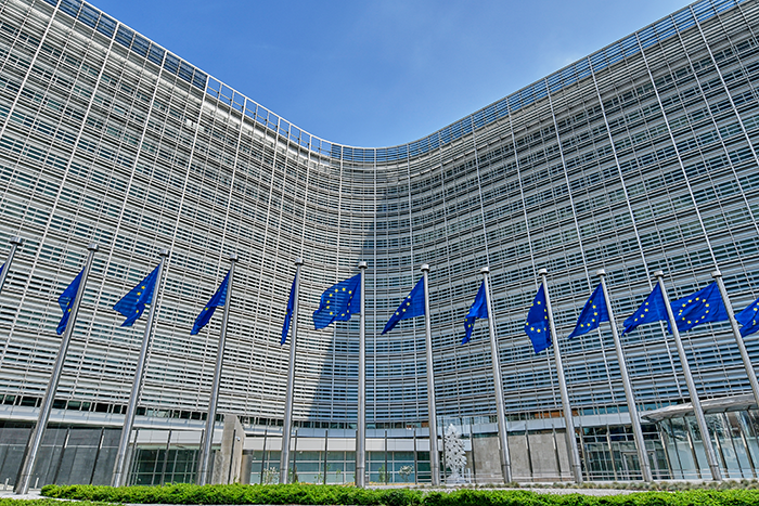 commissione europea
