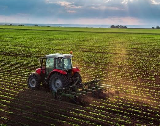 agricoltura