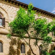 Palermo - Conferenza mondiale sulla strategia d’impresa. Clima, povertà, migrazioni e intelligenza artificiale