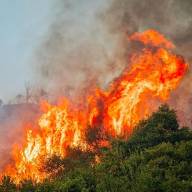 Incendi 2023, pubblicato il bando per gli aiuti ai soggetti privati danneggiati