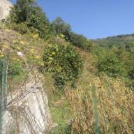 Fondachelli Fantina, al via i lavori per il consolidamento del quartiere Rubino: un milione contro il dissesto