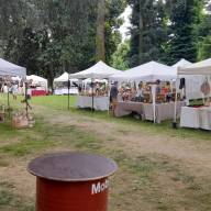 Campo San Martino unita per la ricerca sulla SLA: raccolti 1.200 euro con