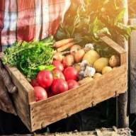 Agricoltura siciliana, 7,45 milioni per promuovere i prodotti di qualità