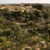 Jurnate di Simenza, la biodiversità siciliana protagonista nella Valle dei Templi