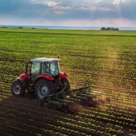Agricoltura siciliana - Dalla Commissione Bilancio 49 milioni per sostenere il comparto 