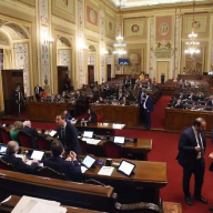 Agricoltura siciliana, dall’Ars quasi 80 milioni di euro per il settore