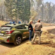 Corpo forestale, in arrivo 94 nuovi agenti in Sicilia