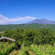 Sicilia autentica, viaggio tra Etna, Nebrodi e borghi d’arte